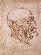 Profile of an old man